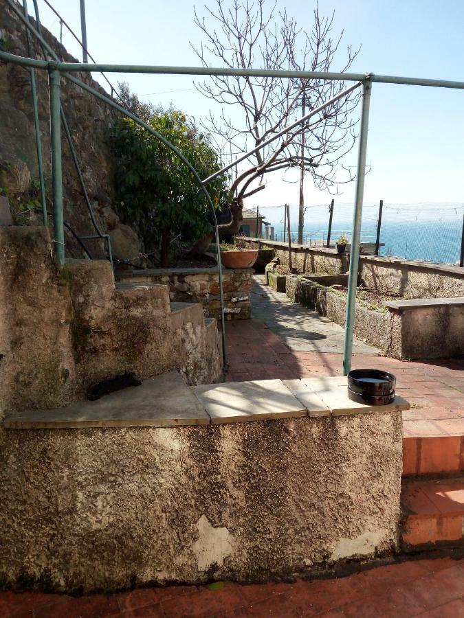Апартаменти Casa Picasso Генуя Екстер'єр фото